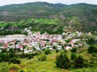 Çamoluk